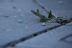 Обломки дрона повредили корабль в Новороссийске