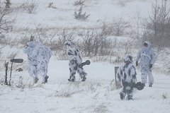 Британия признала отправку своих военных на Украину