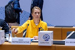 Глава евродипломатии высказалась о давлении США на Украину