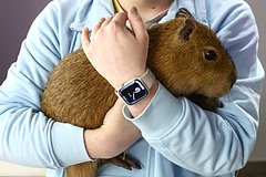 Помощника Путина пригласили в зоопарк после необычного признания